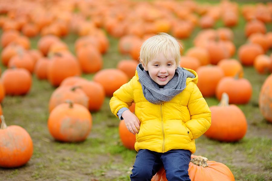 Five Middle Tennessee Local Farms With Family Fall Events